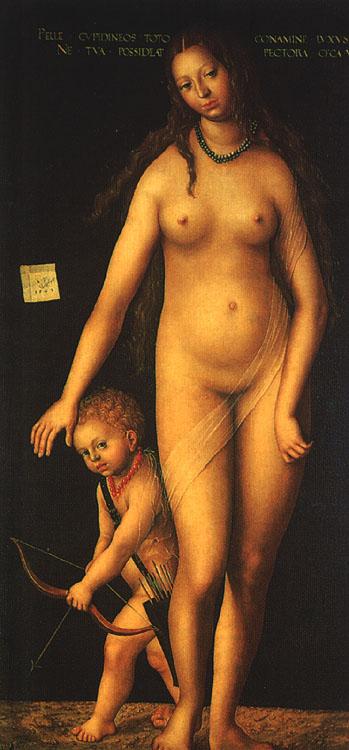 CRANACH, Lucas the Elder Venus and Cupid dfg Sweden oil painting art
